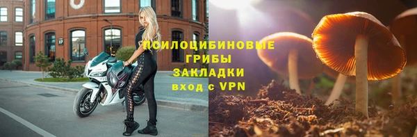 стафф Арсеньев