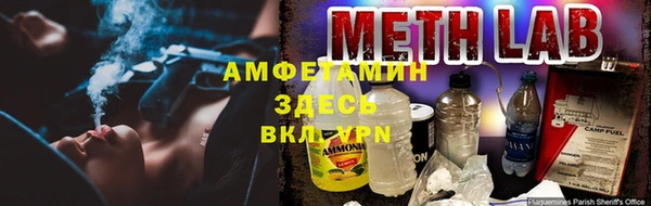стафф Аркадак