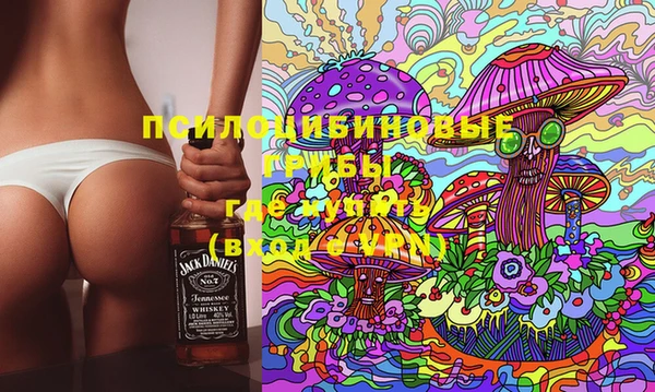 стафф Аркадак
