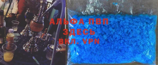 стафф Арсеньев